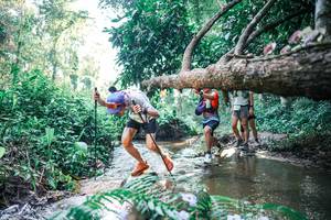 BIB: 
                            <button type="button" onclick="openModal(25438568)" class="btn btn-primary btn-sm float-right btn-popup" data-toggle="modal" data-target=".modal-high-quality">
                        <i class="fas fa-shopping-cart"></i> Add to Cart
                    </button>
                                            <button type="button" onclick="isThisMe(25438568, true)" class="btn btn-success btn-sm float-right btn-popup btn-isme hidden" data-toggle="tooltip" data-placement="bottom" title="นี่คือรูปของคุณใช่ไหม คลิกที่นี่เพื่อเอาเข้าอัลบั้ม">
                        <i class="fas fa-plus"></i> Add to album
                    </button>
                    <button type="button" onclick="isThisMe(25438568, false)" class="btn btn-warning btn-sm float-right btn-popup btn-isnotme hidden">
                        <i class="fas fa-ban"></i> Remove from album
                    </button>